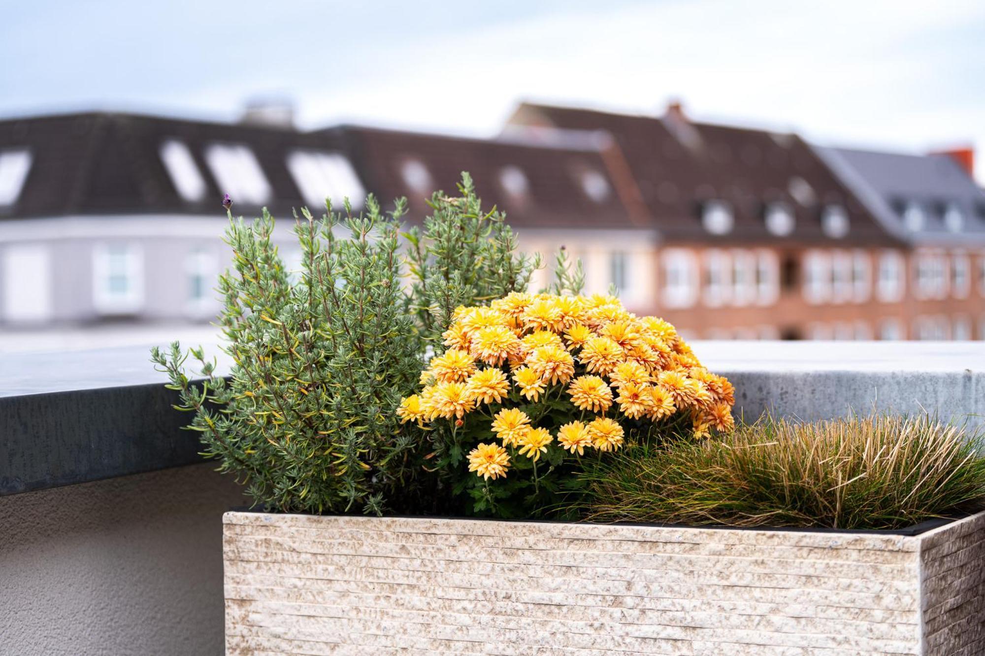 Ferienwohnung Foerdeterrasse Nahe Kiellinie Zewnętrze zdjęcie